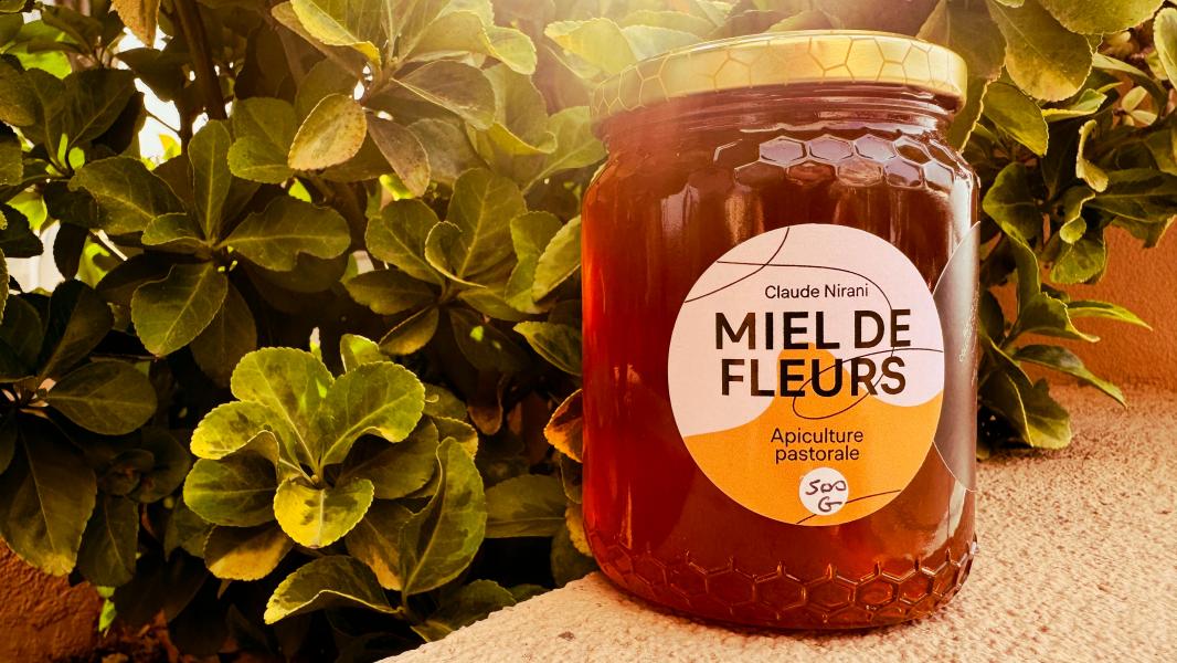 Hôtel Princess et Richmond